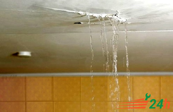 Nhà vệ sinh thấm dột khiến nước rò rỉ xuống trần nhà